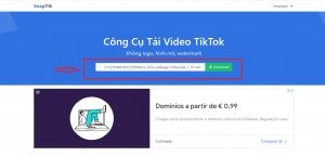 Tải video trên Tiktok về máy tính bằng SnapTik 1
