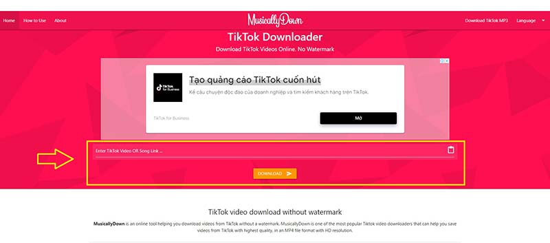 Cách xóa logo TikTok trên máy tính bằng website MusicallyDown