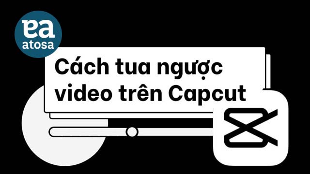 Hướng dẫn cách tua ngược video trên Capcut